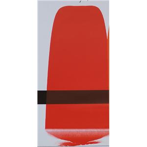 耐晒金红颜料242红