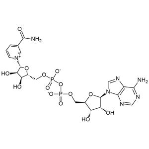 β-烟酰胺腺嘌呤二核苷酸