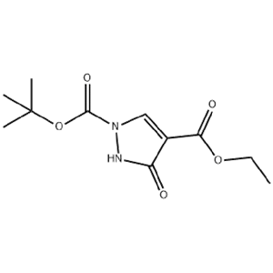 1-叔丁氧羰基-3-羟基-吡唑-4-羧酸乙酯