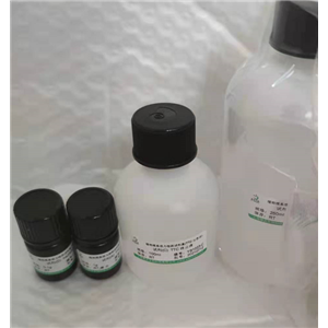 还原型谷胱甘肽(GSH)检测试剂盒(DTNB速率比色法)