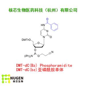 DMT-dC(bz)亚磷酰胺单体  工厂大货 产品图片