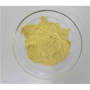 野漆树苷