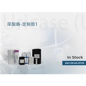 尿酸酶(UA-T) 产品图片