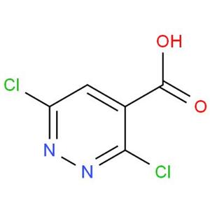 3.6-二氯哒嗪-4-甲酸