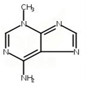 6-氨基-3-甲基嘌呤