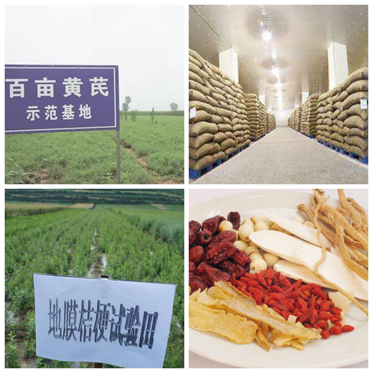 水解植物蛋白 | 上海爱普食品工业有限公司