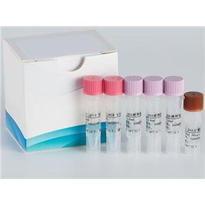 磺化花菁3叠氮化物