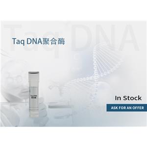 Taq DNA聚合酶 产品图片