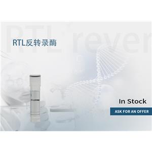 RTL 反转录酶 产品图片