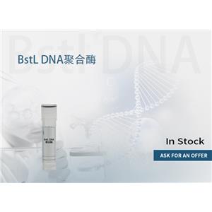 BstL DNA 聚合酶 产品图片