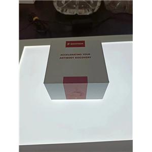 EDN2（人类）重组蛋白（P01）