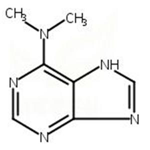 6-(二甲基氨基)嘌呤