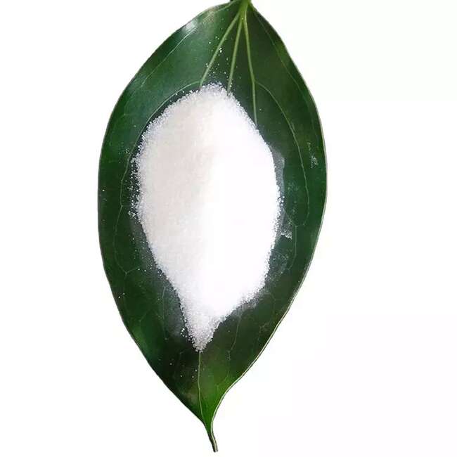 L-（-）-二苯甲酰酒石酸（一水物）