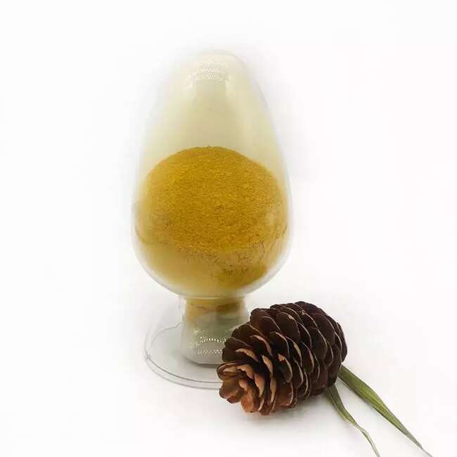 二氢杨梅素、杨梅树皮素、杨梅苷、杨梅黄酮、杨梅素