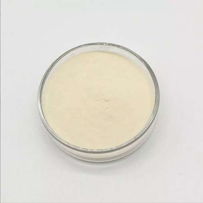 黄芪甲苷 Astragaloside IV