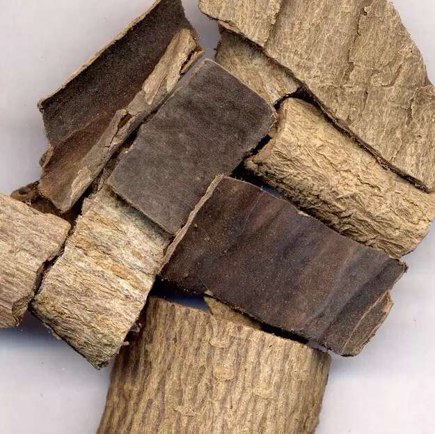 绿咖啡豆绿原酸