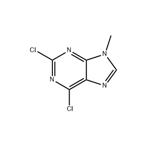 2382-10-7,2,6-二氯-9-甲基-9H-嘌呤