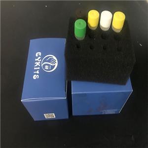 荧光探针PCR试剂盒