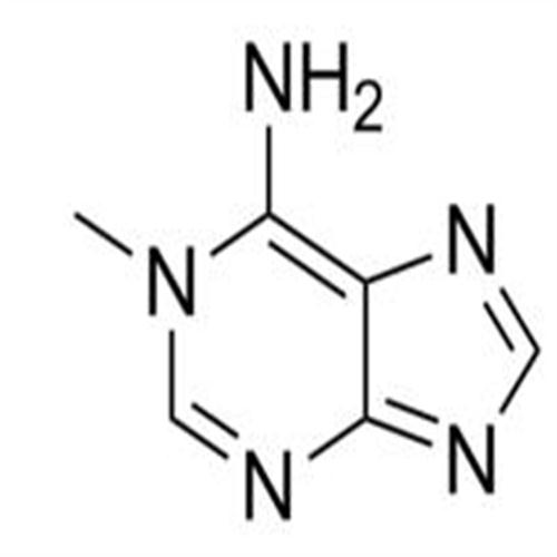 1-Methyladenine.jpg