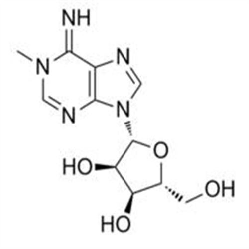 1-Methyladenosine.jpg