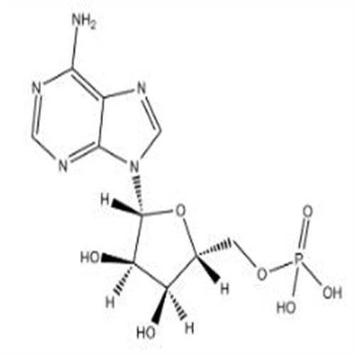 Adenosine 5-monophosphate.jpg