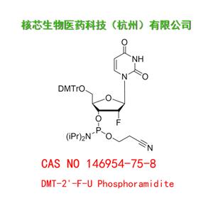 DMT-2'-F-U Phosphoramidite 工厂大货 产品图片