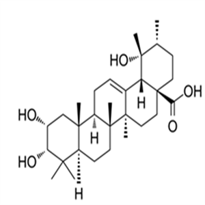 53155-25-2Euscaphic acid