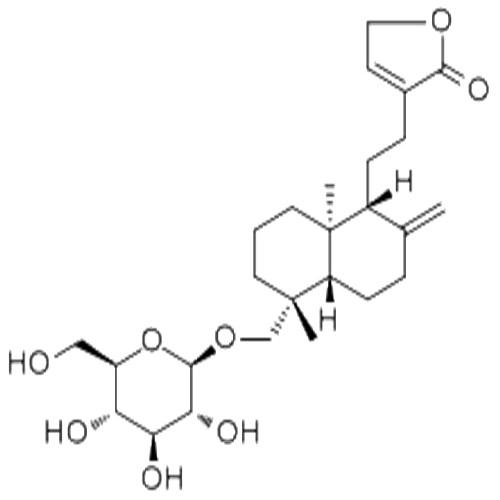 新穿心莲内酯.jpg