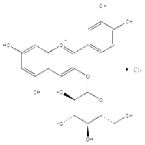 矢车菊素-3-O-葡萄糖苷.jpg
