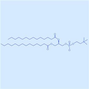 1,2-二肉豆蔻酰-sn-甘油-3-磷酸胆碱,DMPC,18194-24-6