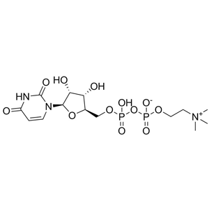 尿苷二磷酸胆碱（UDPC）
