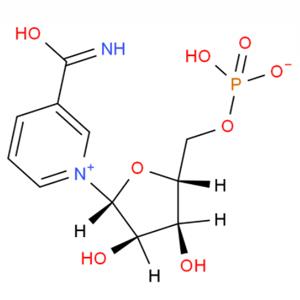 β-烟酰胺单核苷酸 beta-烟酰胺单核苷酸