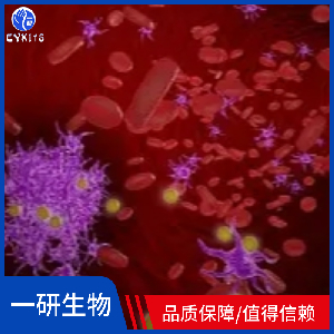 人胚胎肺成纤维细胞