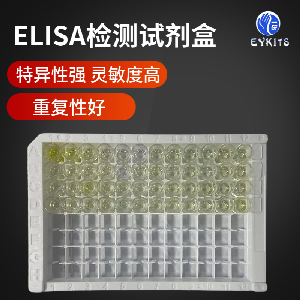 肠道病毒EV71/柯萨奇病毒CA16核酸检测试剂盒