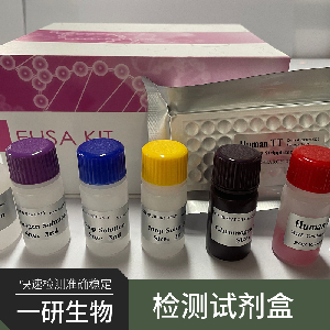 BIU-87/DDP人膀胱癌顺铂耐药株