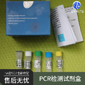 传染性胰脏坏死病病毒（IPNV）RNA核酸检测试剂盒