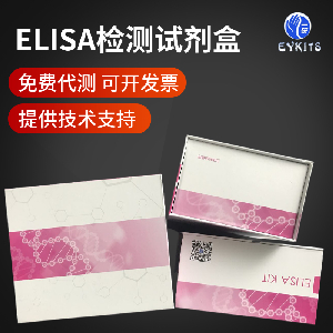 小鼠四氢叶酸ELISA试剂盒