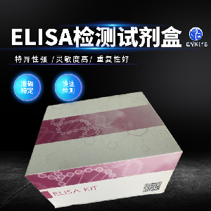 AGEs ELISA试剂盒
