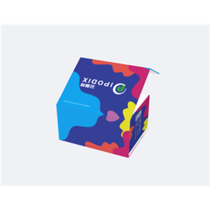 人降钙素(CT)ELISA Kit