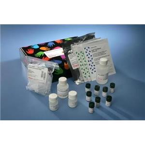小鼠心钠肽(ANP)Elisa试剂盒