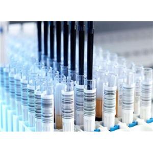 ITGB3 Antibody 生产供应商艾普蒂生物