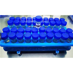 高脂细胞添加剂油酸油酸高脂试剂盒高糖高脂试剂盒诱导HepG2脂肪肝细胞模型