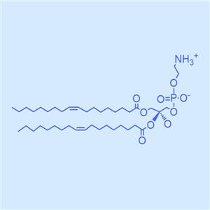 1,2-二油酰-SN-甘油-3-磷酰乙醇胺,DOPE,4004-05-1