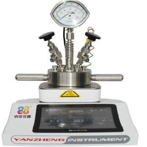 微型高压反应釜（磁力搅拌）250ml 室温-300℃ 10MPa(管制品)|YZPR-250|岩征