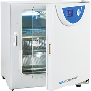 二氧化碳培养箱（气套式) 240L RT+5～55℃（仅限科研用途)|BPN-240CH|一恒