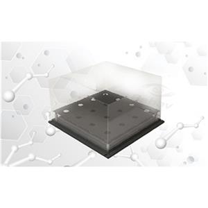 洞板系统 大鼠洞板 洞板实验 孔洞实验