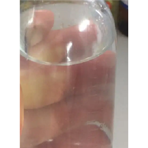 2-苄基-1-乙胺38336-04-8