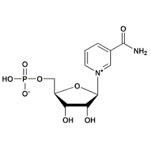 β-烟酰胺单核苷酸（NMN） 产品图片