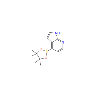 7-氮杂吲哚-4-硼酸酯；942919-26-8