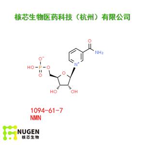 β-烟酰胺单核苷酸 产品图片
